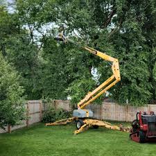 Best Tree Disease Treatment  in King Cove, AK