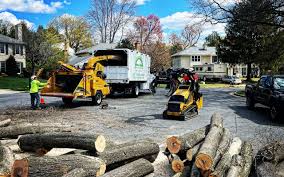 Best Lawn Maintenance Plans  in King Cove, AK